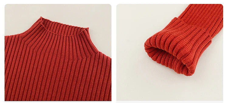 Elegant Solid Basic Knitted Tops Women Turtlneck Sweater Long Sleeve Casual